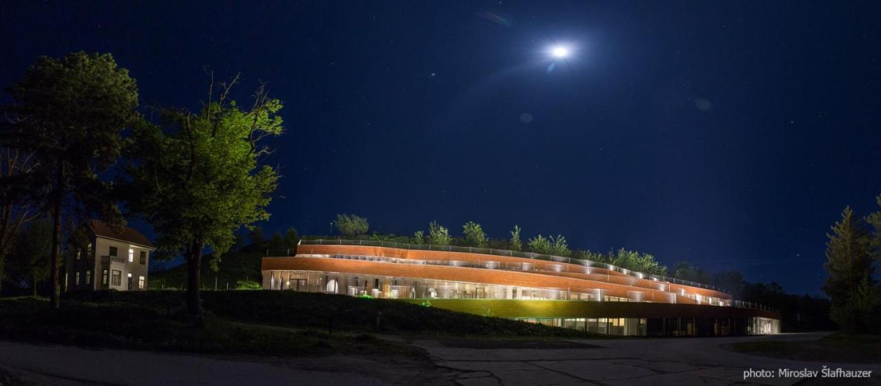 Vila Rosa Vukovar Bed & Breakfast Luaran gambar