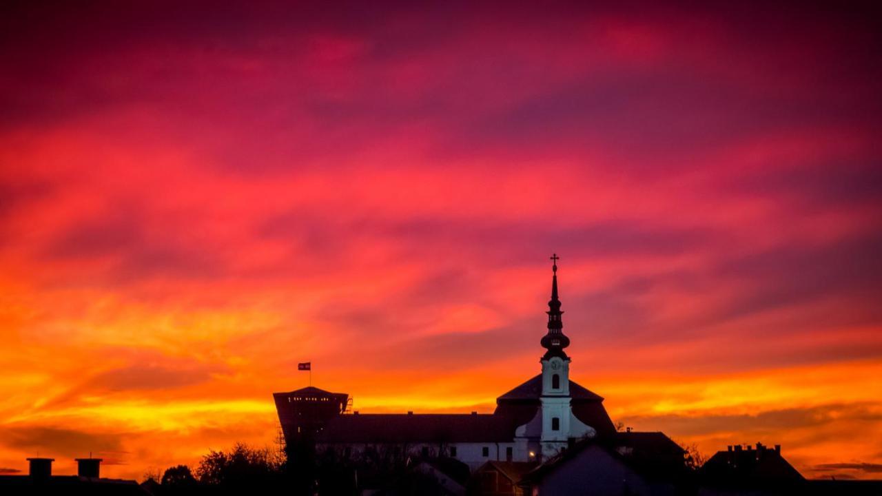 Vila Rosa Vukovar Bed & Breakfast Luaran gambar