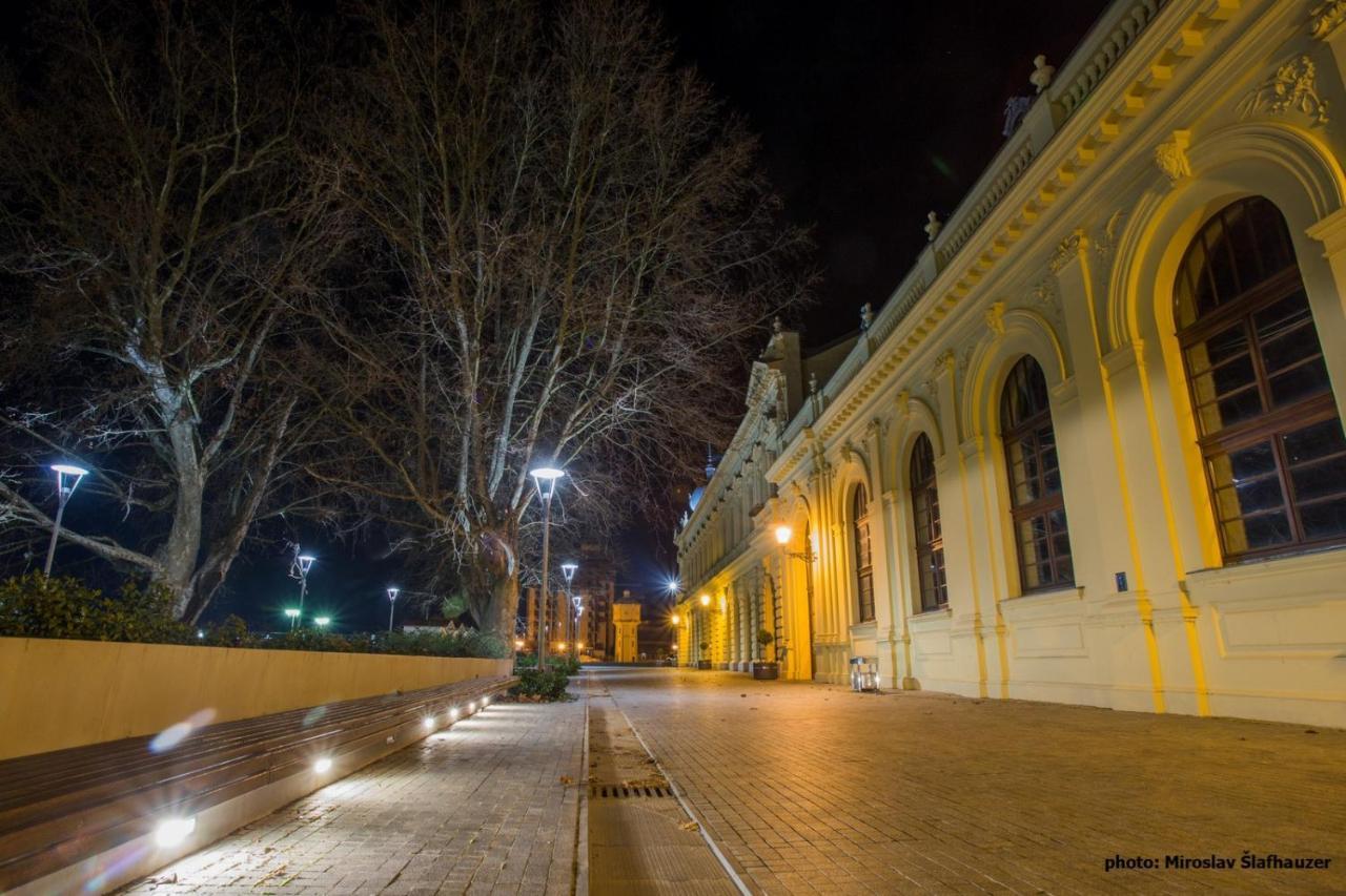 Vila Rosa Vukovar Bed & Breakfast Luaran gambar